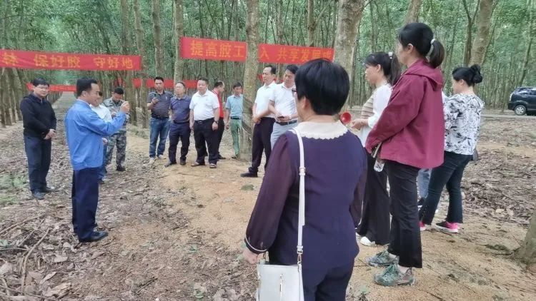 全国割胶冠军张健给各单位学员做标准化胶园建设及割胶技术的经验介绍。.jpg