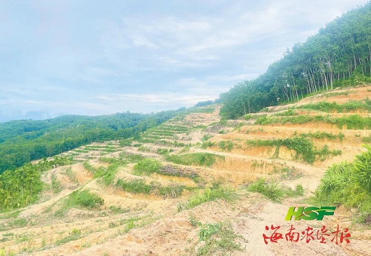 龙8头号玩家(国际)官方网站