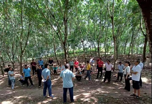 龙8头号玩家(国际)官方网站