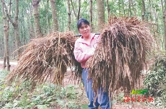 龙8头号玩家(国际)官方网站