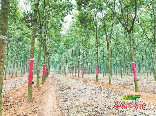 龙8头号玩家(国际)官方网站