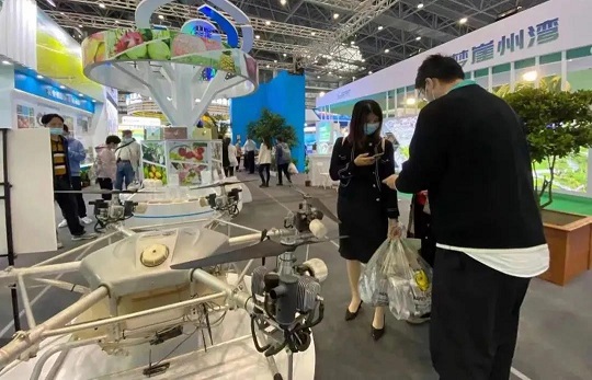 龙8头号玩家(国际)官方网站