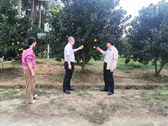 龙8头号玩家(国际)官方网站