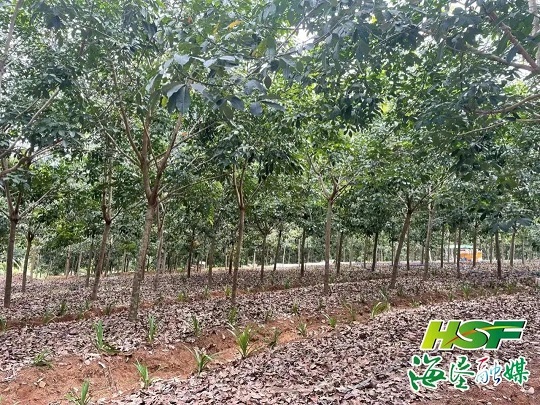 龙8头号玩家(国际)官方网站