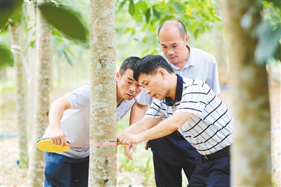 龙8头号玩家(国际)官方网站