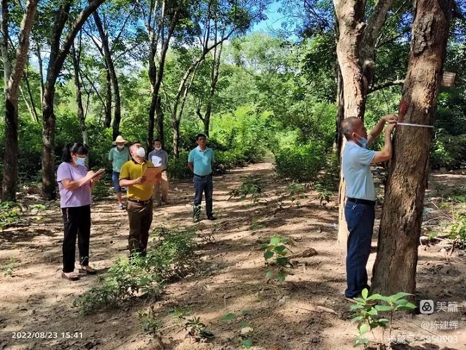 54 龙8头号玩家(国际)官方网站