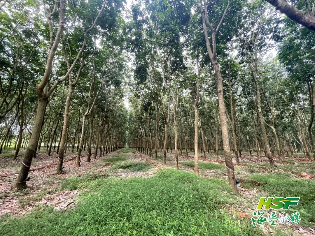 龙8头号玩家(国际)官方网站