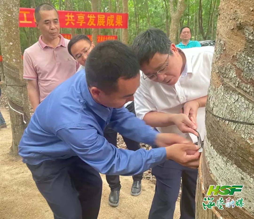 10 龙8头号玩家(国际)官方网站