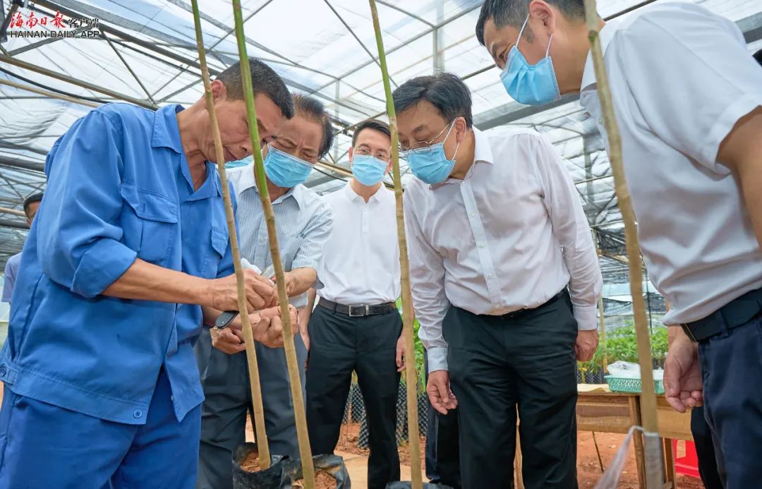龙8头号玩家(国际)官方网站